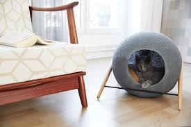 We tested cat beds of every style, including bolster beds, cave beds, crate beds, and more. Top Cat Beds Off 58 Www Usushimd Com