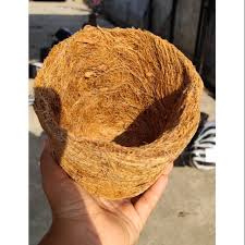 Sapu ijuk dari ikat kelapa. Cara Membuat Vas Dari Sabut Kelapa Cara Golden