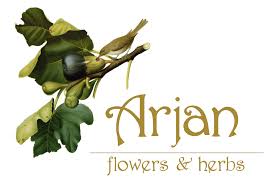Maybe you would like to learn more about one of these? Oakland Florist Flower Delivery By Arjan Flowers
