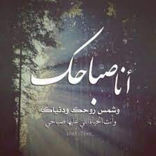 باقات صباح الخير وصور صباحية مكتوب عليها عبارات حب موقع مصري love quotes photos morning quotes images morning love quotes