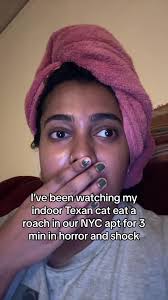 Kat House Got Roaches