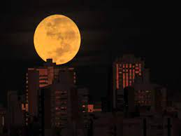 The fourth and last lunar eclipse of the year is set to occur next monday! F1ppojxkjcupim