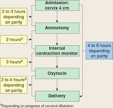 normal labor williams obstetrics 24e accessmedicine