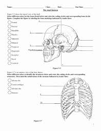 To save it to your computer right click and press save image as. Diagram Upper Body Diagram Unlabeled