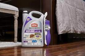Pin On Bed Bugs