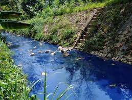 Negeri sembilan meaning nine states in english is unique as this is the only state in the peninsular that strictly adheres to the matrilineal system known as for assistance, contact negeri sembilan tourism action council at 06 7659870. Sungai Jadi Biru Akibat Pewarna Plastik
