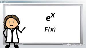 Ma 114 worksheet # 8: Finding The Integral Of E X Video Lesson Transcript Study Com