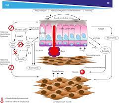 Omalizumab In Children With Uncontrolled Allergic Asthma Review Of Clinical Trial And Real World Experience Sciencedirect