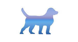 The seven breed categories include dogs with a wide array of jobs, characteristics, and personalities that pet owners love. What Is The Tallest Dog Breed In The Trivia Questions Quizzclub