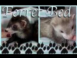 Ferret Bed Tutorial Ferret Diy Ferret My Animal