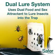 Japanese beetle traps typically consist of yellow vanes in a crisscross shape with the lure fixed in the middle. Japanese Beetle Trap 1 Trap Saferbrand Com