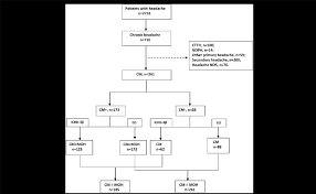 flow chart of the study ctth chronic tension type headache