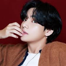 Updated july 29, 2017 use ctrl+f if… Kim Taehyung V Wiki Age Net Worth Girlfriend Family Biography More Thewikifeed