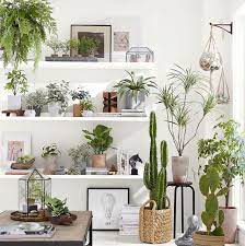 These silk flowers from jamali garden look as first, you need to understand how big flowers are in real life (weirdly, the internet is not great at floral scale). 34 Best Artificial Plants 2021 The Strategist New York Magazine