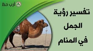 يقول ابن سيرين أن من يري بحرا و هو نائم فإن هذا يعني ملك قوي و عادل، و إذا رأي التاجر البحر فى منامه فإن هذا البحر يمثل متاعه، و قد يعني البحر فى المنام الرزق. Ø¥ØµØ±Ø§Ø± Ø§Ø¹ØªØ±Ø§Ù ØªÙ„Ù‚Ø§Ø¡ÙŠ Ø±ÙƒÙˆØ¨ Ø§Ù„Ø¬Ù…Ù„ ÙÙŠ Ø§Ù„Ù…Ù†Ø§Ù… Ù„Ù„Ø¹Ø²Ø¨Ø§Ø¡ Oceanbreezeadventure Com
