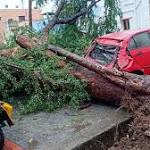Cyclone Gaja leaves trail destruction: