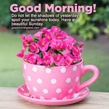 See more ideas about sunday morning images, happy sunday, sunday. Lovely And Good Morning Sunday Morning Images Good Morning Images Quotes Wishes Messages Greetings Ecards