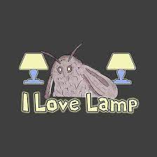 Ottoman Textured Sweater Memes I Love Lamp Moth