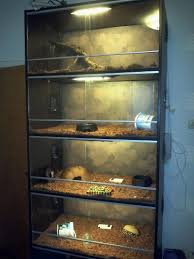 Snakescraper Ikea Hackers Reptile Terrarium Reptile House Reptile Room