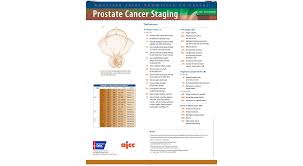 Image result for Prostate Cancer Staging