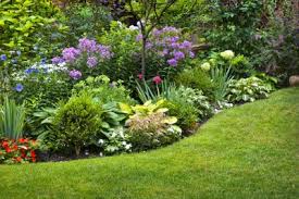 Gardening In Usda Zone 6 Tips On Growing Zone 6 Plants