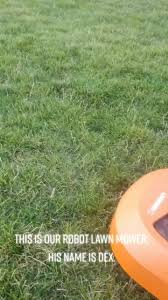 #automatic #robot #lawn #mower