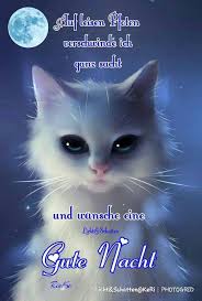 Pin Von Anita Dufnr Auf Gute Nacht Spruche In 2020 Gute Nacht Liebe Gute Nacht Grusse Gute Nacht Lustig
