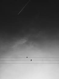 Aesthetic Black And White Sky Background Two Black Birds On Electric Wires Under Gray Sky During Daytime Gray Aesthetic Dark Pictures Black And White Photo Wall
