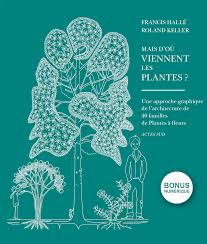 Image result for Dichaetanthera erici-rosenii