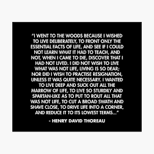 I Went To The Woods Because I Wished To Live Deliberately To Front Only The Essential Facts Of Life Henry David Thoreau Poster By Alanpun Redbubble