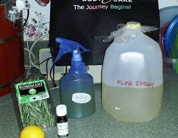 Pin By Kim Sanchez On Penny Pinchers Homemade Flea Spray Flea Spray Flea Shampoo For Cats