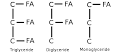 Monoglycerides and diglycerides 1Eating Real Food