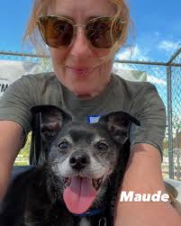 As usual, I took a million photos this morning at Yoga💕All my favorites  were there-Pilar, Ash, Angie, Prescott, Munson and Camper❤️🥰 Ash and Angie  are swoon worthy 😭💕Pilar is boarding from her