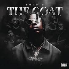 Polo G The Goat Vinyl Walmart Com Walmart Com