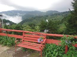 Alcides synonyms, alcides pronunciation, alcides translation, english dictionary definition of alcides. Donde Alcides Picture Of Donde Alcides Tarbaca Tripadvisor