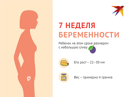 можно ли заниматься йогой при беременности на ранних сроках 7 Nedelya Beremennosti Ot Zachatiya Chto Proishodit S Malyshom I Mamoj Foto Zhivota Uzi Ploda