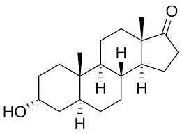 Androsterone - Wikipedia