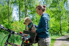 Tipps Zum Radfahren Mit Hund Tenetrio