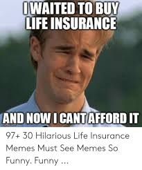 The Five Reasons Tourists Love Buy Insurance Meme Buy Insurance Meme Life Insurance Facts Insurance Meme Insurance