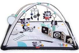 What Is The Best Baby Play Gym Whoobly