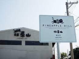 旺萊山www pineapplehill com tw sign design environmental graphics signage