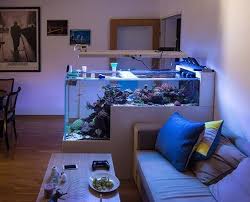 Goals Saltwater Aquarium Aquarium Amazing Aquariums