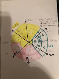 Echo Coronary Artery Heart Wall Segments Anatomy Everything In One Picture Coronary Arteries Interventional Cardiology Heart Wall