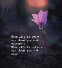 When Life Is Sweet Say Thank You Via Https Ift Tt 2sct5zg Cute Quotes For Life Life Quotes Meaningful Quotes