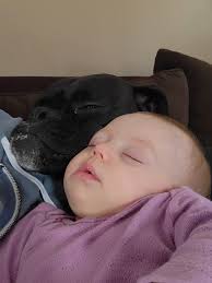 This is our baby Hank and we love him so much!