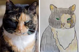 These are animals that talk, walk on 2 legs, and behave like humans. Wisconsin Humane Society Raises 12k By Making Badly Drawn Animals