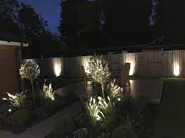 Pin By Syada Katt On Ideas For Garden Plant Lighting Plants Garden