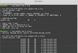 Tutorial Nslookup Host Dig Whois Dns Information Gathering Penetration Testing