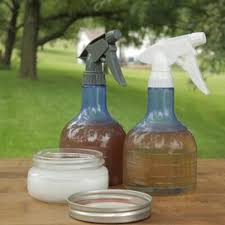 Irish spring or ivory body wash. Diy Deer Repellent Better Homes Gardens