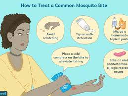 Mosquito Bite Treatment For Itching And How To Recognize Infections